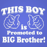 This Boy Is Promoted Big Brother Toddler T-Shirt