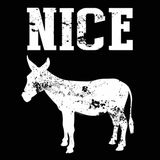 Nice Ass Men's T-Shirt